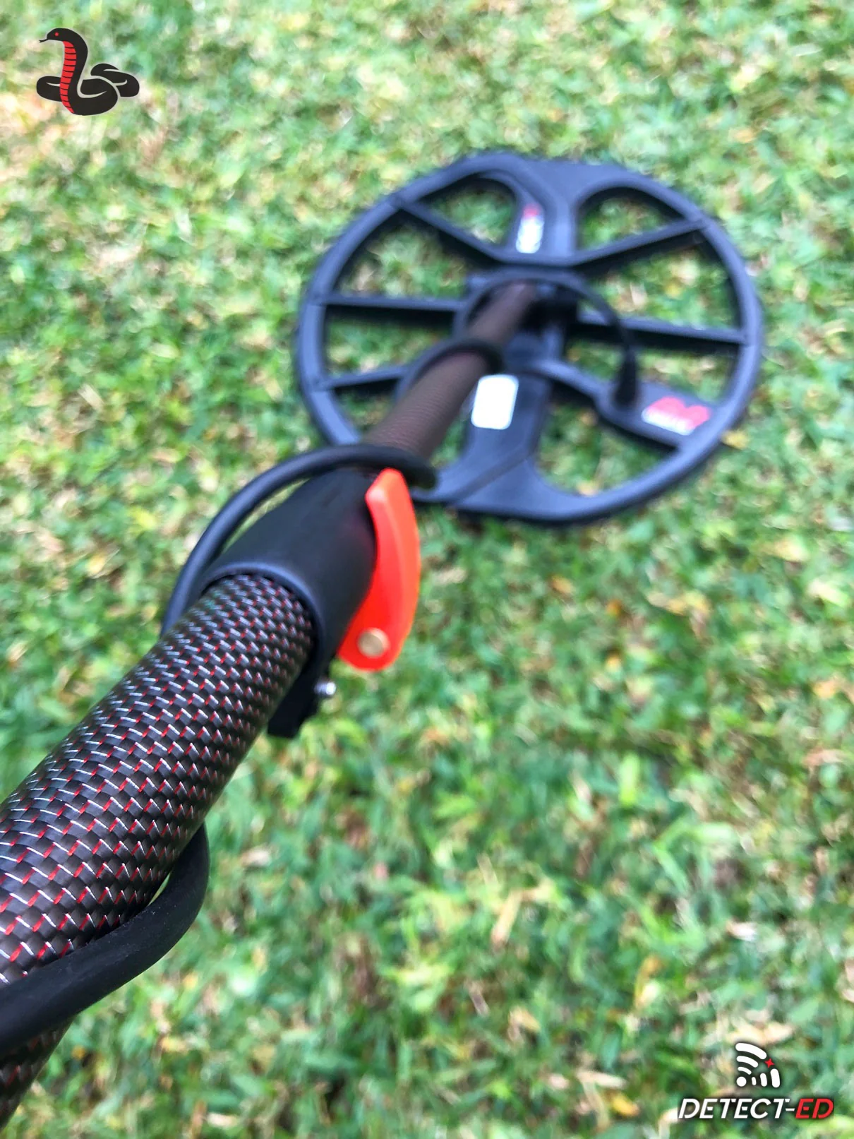 Red-Belly Black - Equinox Carbon Shaft Set - Image 11